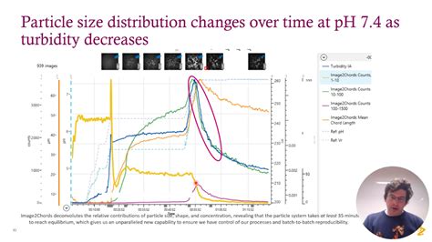 Downstream Precipitate Characterization in Continuous Bioprocessing