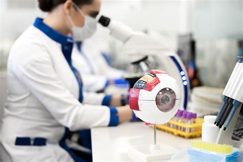 Neuron Transplants Propel Vision Restoration Efforts | Mirage News