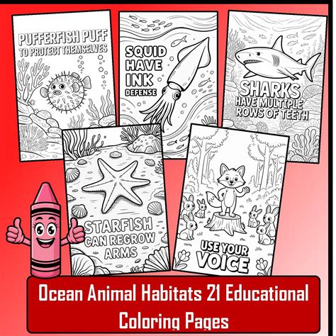 Ocean Animal Habitats | 21 Coloring Pages | Fun Activity | No Prep ...