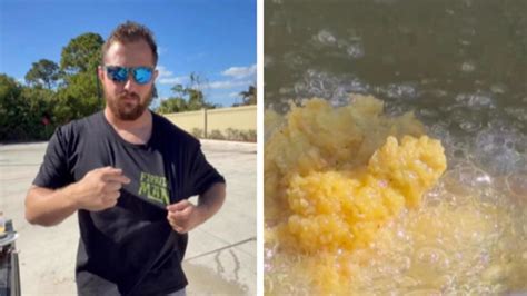 'Looks good to me': Florida man cooks invasive green iguanas with ...