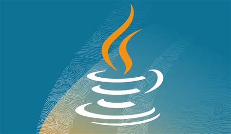 JavaSet接口与HashSet使用教程-Golang学习网