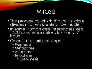 AP Cell Cycle-Mitosis and Meiosis presentation.ppt