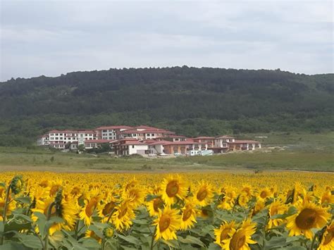 Harmony Hills Tomovi Apartment B21 - Flats for Rent in Rogachevo ...