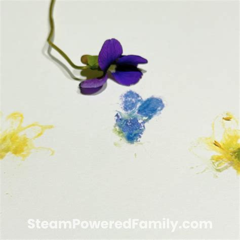 Outdoor Science Experiments for Kids