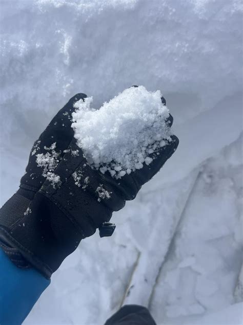 Observation: Snowbasin - Utah Avalanche Center