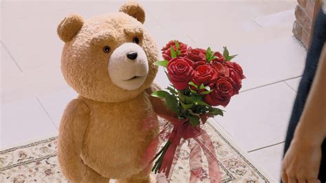 ‘It’s All on the Table’ — Seth MacFarlane Says Ted Season 3 or Movie ...
