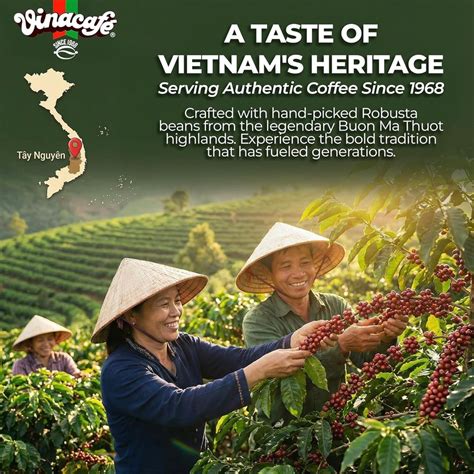 40 cts 3 in 1 Vietnamese Instant Coffee Gold Red Strong Rich Blend, 40 ...