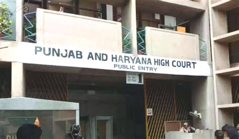 Punjab and Haryana HC bars judicial officers from using AI tools to ...