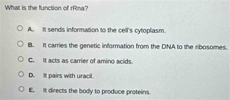 Solved: What is the function of rRna? A. It sends information to the ...