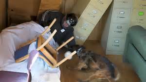 Can I survive police K9 training?