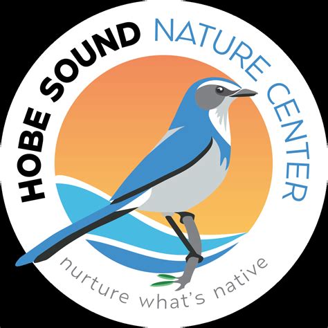 Tales and Scales: Alligator Encounter — Hobe Sound Nature Center