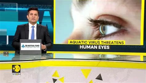 Study: Virus from aquatic animals can infect human eyes
