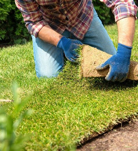 Image result for Turf Removal Machine