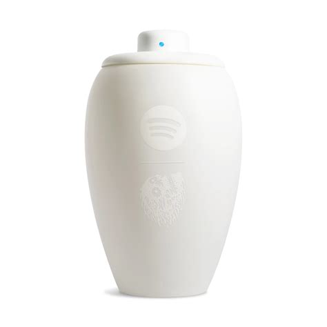 Spotify Urn – Liquid Death