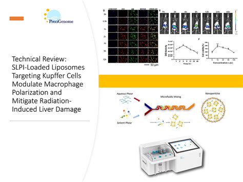 Technical Review: SLPI-Loaded Liposomes Targeting Kupffer Cells ...
