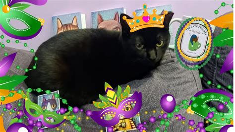 Mardi Paws Shoebox Float Contest, 524 E. Capitol Ave., Downtown ...