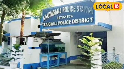 North Dinajpur News: গাছ কাটার সময় হুড়মুড়িয়ে ভাঙল সব! গাছের নীচে ...