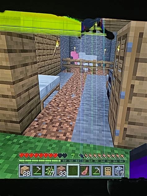 Why won’t the grass grow? : r/Minecraft