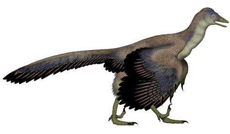 8 Dinosaur Fossils That Changed Science Forever – Dino World