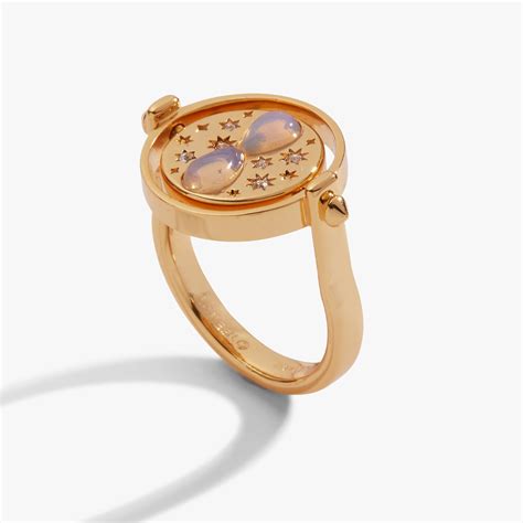 Harry Potter™ Time Turner Flip Ring | Alex and Ani – ALEX AND ANI