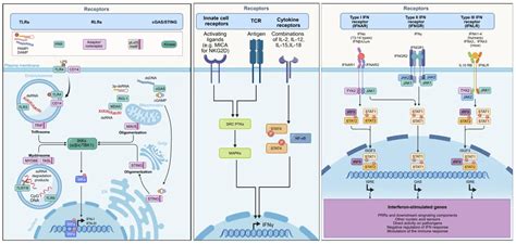 How to create a schematic for a research paper? Tips on composition and ...