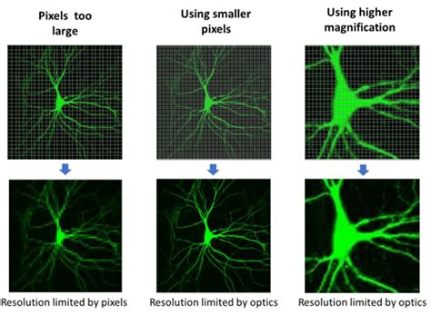 Resolution and Numerical Aperture | Teledyne Vision Solutions