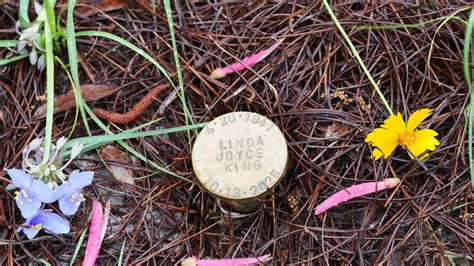 Increasing interest in eco-friendly death options reflects growing ...