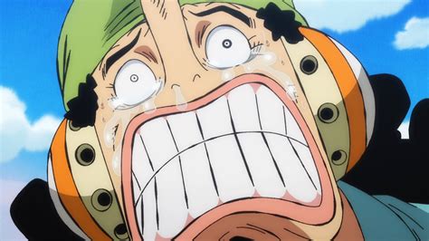 One Piece: Straw Hat Pirates Ranked By How Important They Are ...