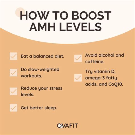 How to Increase AMH Hormone Levels Naturally for Fertility ⋆ ctf.bnsf.com
