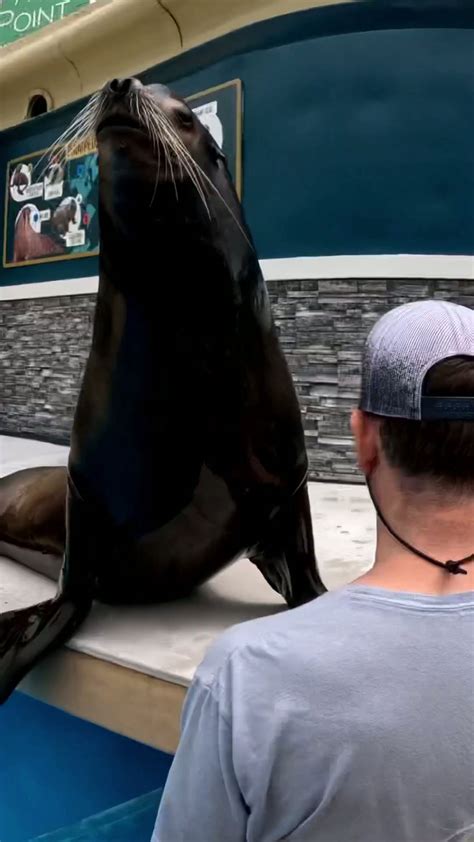 This sea lion sneezed on me! #shorts