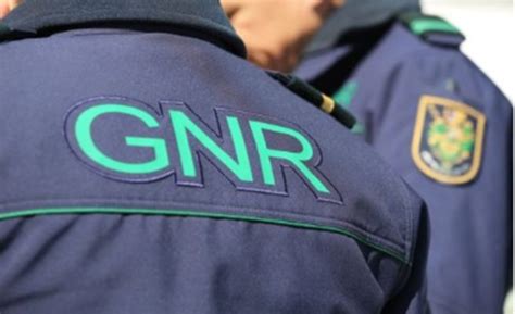 Operação da GNR desmantela rede internacional de tráfico de droga ...