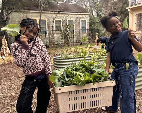 How Do Local Seeds Support a Local Food System? — Working Food