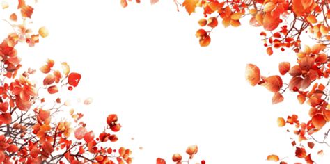 Araliya Flowers For Funeral Banner PNG, Vector, PSD, and Clipart With ...