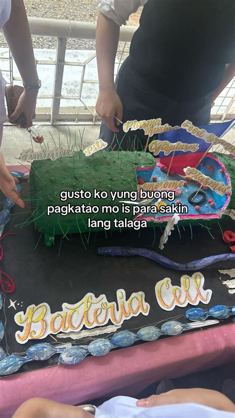 yzaa (@tf.itskrzzy)’s videos with original sound - jade | TikTok