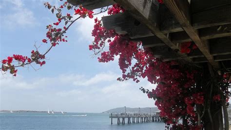 San Diego, CA Weather Forecast, Conditions, and Maps – Yahoo Weather