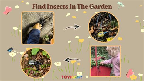 Toymany Spring Activities for Family Fun