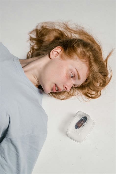 Life Cycle Of A Cockroach Photos, Download The BEST Free Life Cycle Of ...