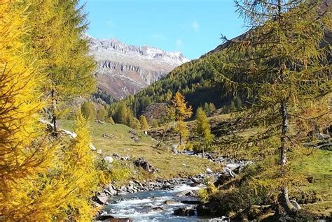 APPARTEMENTS KLAUS BERGHEIM (Casere) - Apartment Reviews & Photos ...