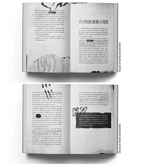 One Piece : l'art de raconter une histoire