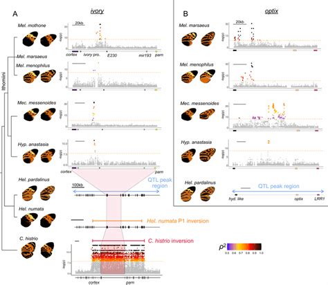 Evolution has used the same genetic ‘cheat sheet’ for over 120 million ...