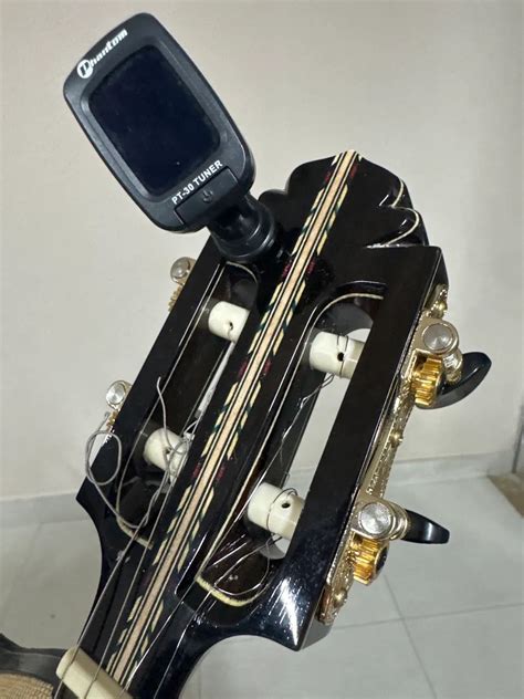 Cavaquinho profissional + 2 case - Instrumentos musicais - Nova ...