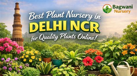 Best Plant Nursery in Delhi NCR for Quality Plants Online | Bagwani Nu ...