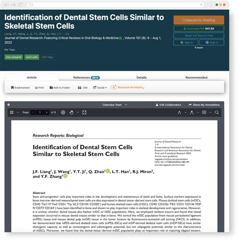 Intimal CD31-positive relative surfaces are associated with the ...