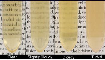 Urinalysis in Veterinary Medicine: Properties, Conditions, and ...