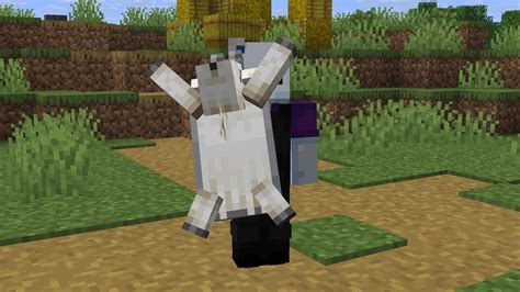 Words Added — SkinMC