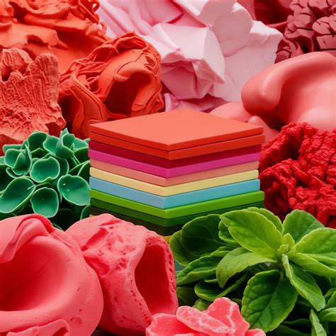 Food Presentation Psychology · Theme