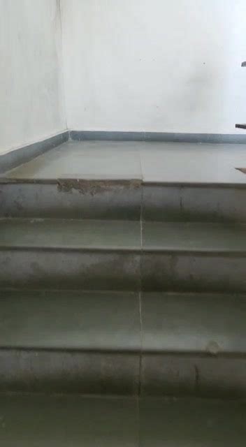 PG for MALE in HSR Layout 5th Sector for Rs 5800 available Immediately ...