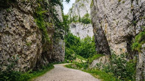 Aerial view of the majestic Zărnești Gorge in Romania