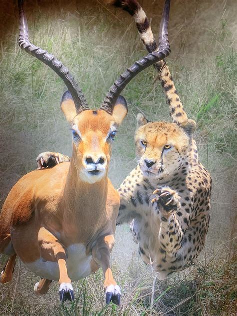 Taikoo Hui Free Wildlife Photography Exhibition | Wonderland | Trip.com ...