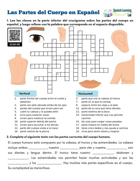 Parts of the Body in Spanish - PDF Crossword Puzzle - Spanish Learning Lab